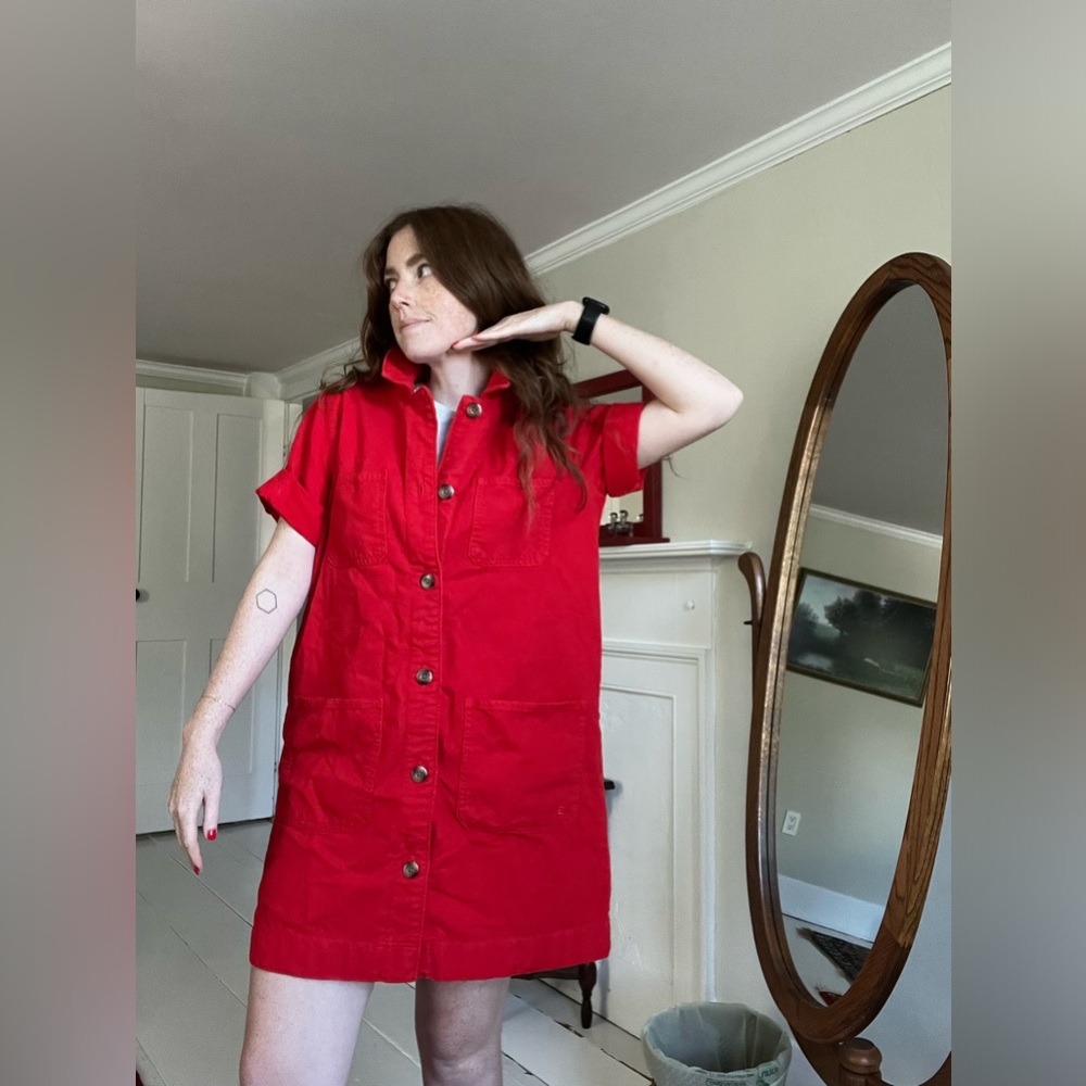 Everlane shirt dress